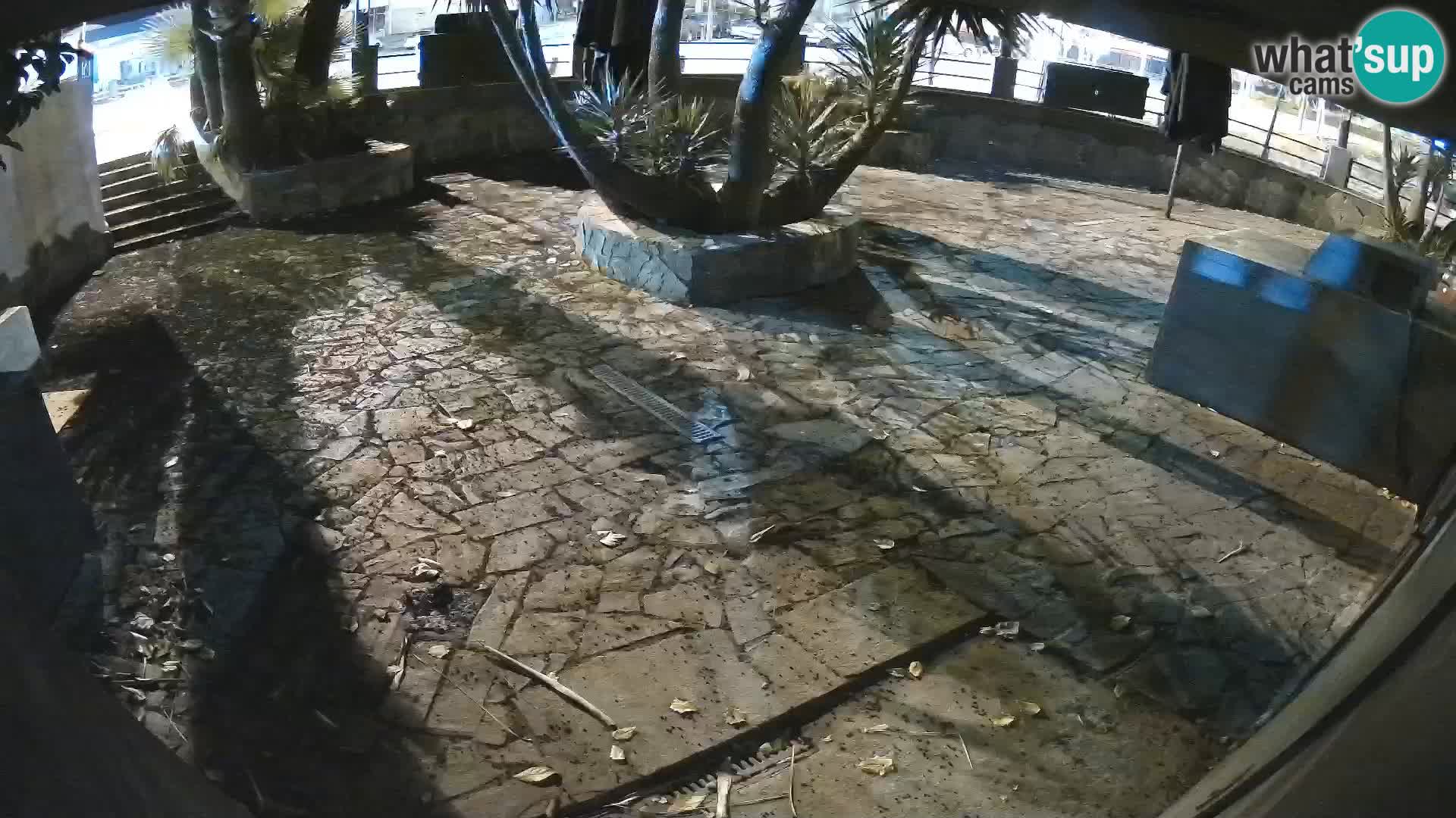 Lloret de Mar – Dr. Döner – Costa Brava – Spain