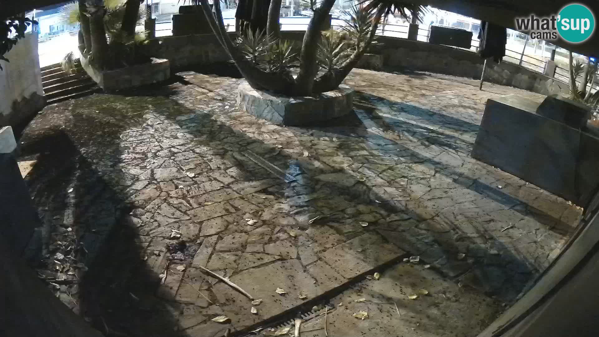 Lloret de Mar – Dr. Döner