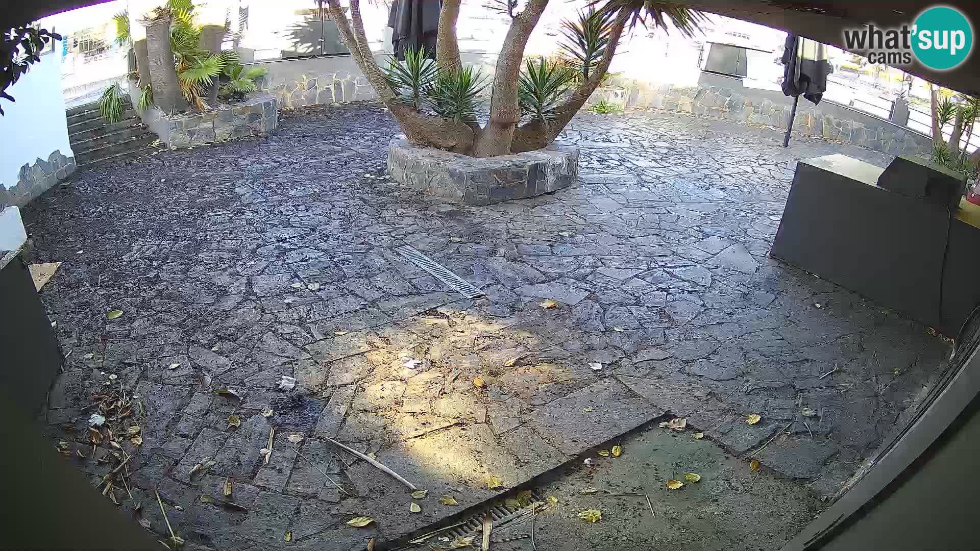 Lloret de Mar – Dr. Döner