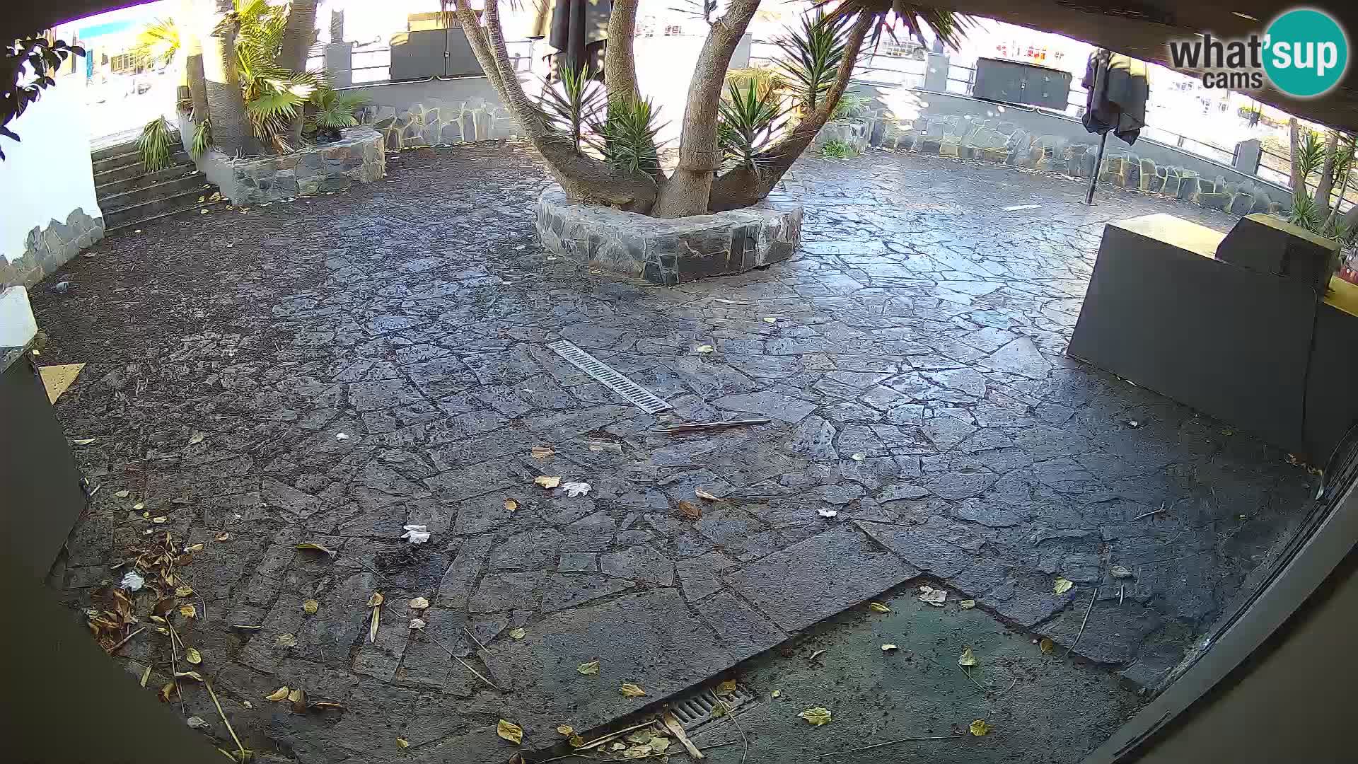 Lloret de Mar – Dr. Döner