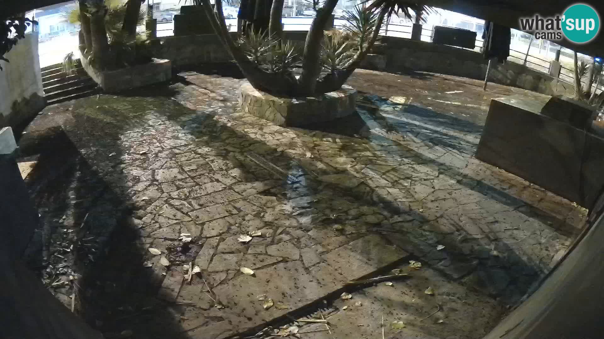 Lloret de Mar – Dr. Döner