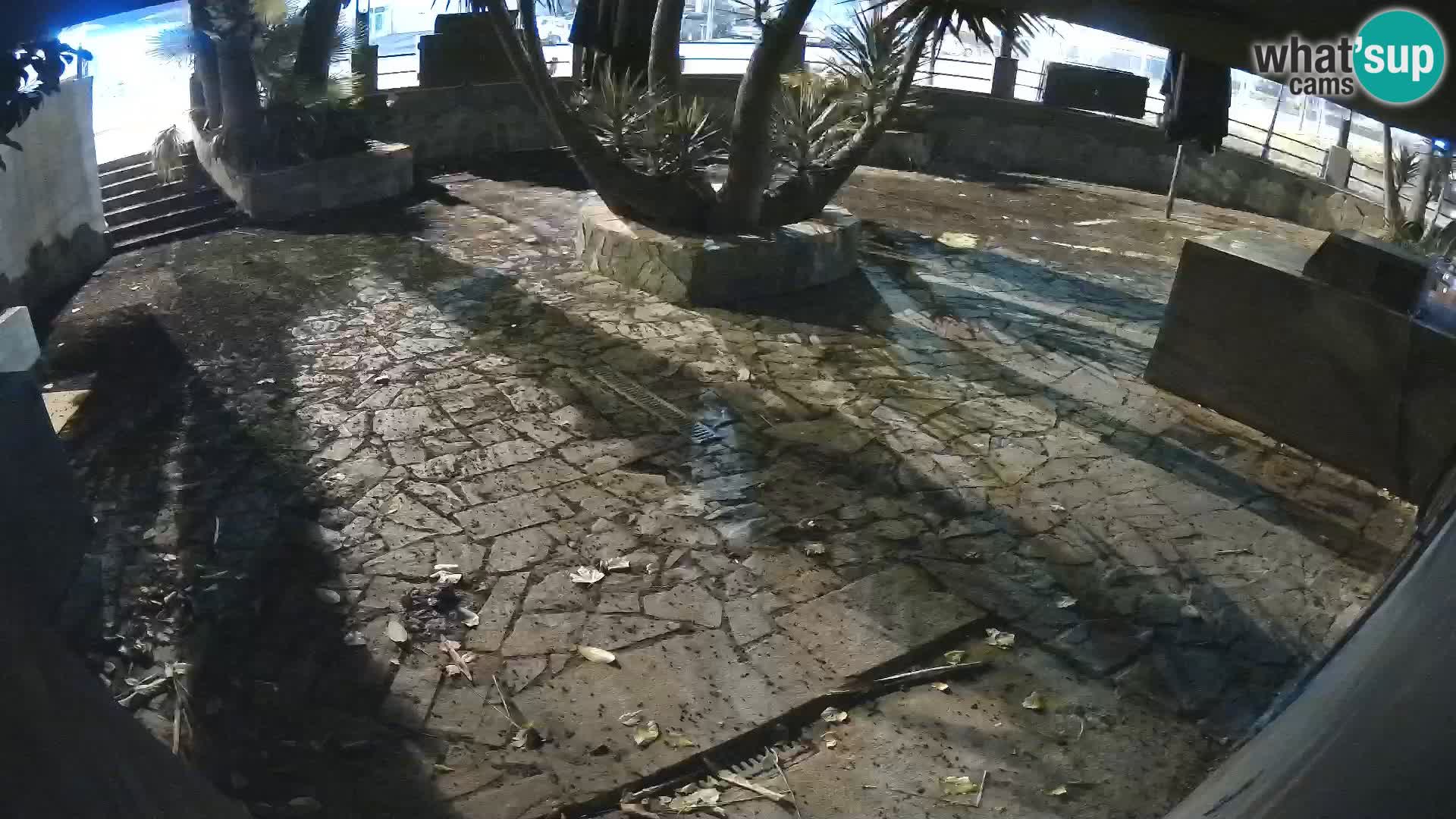 Lloret de Mar – Dr. Döner