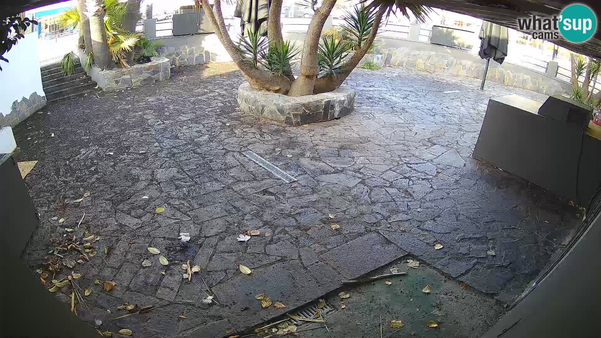 Lloret de Mar – Dr. Döner