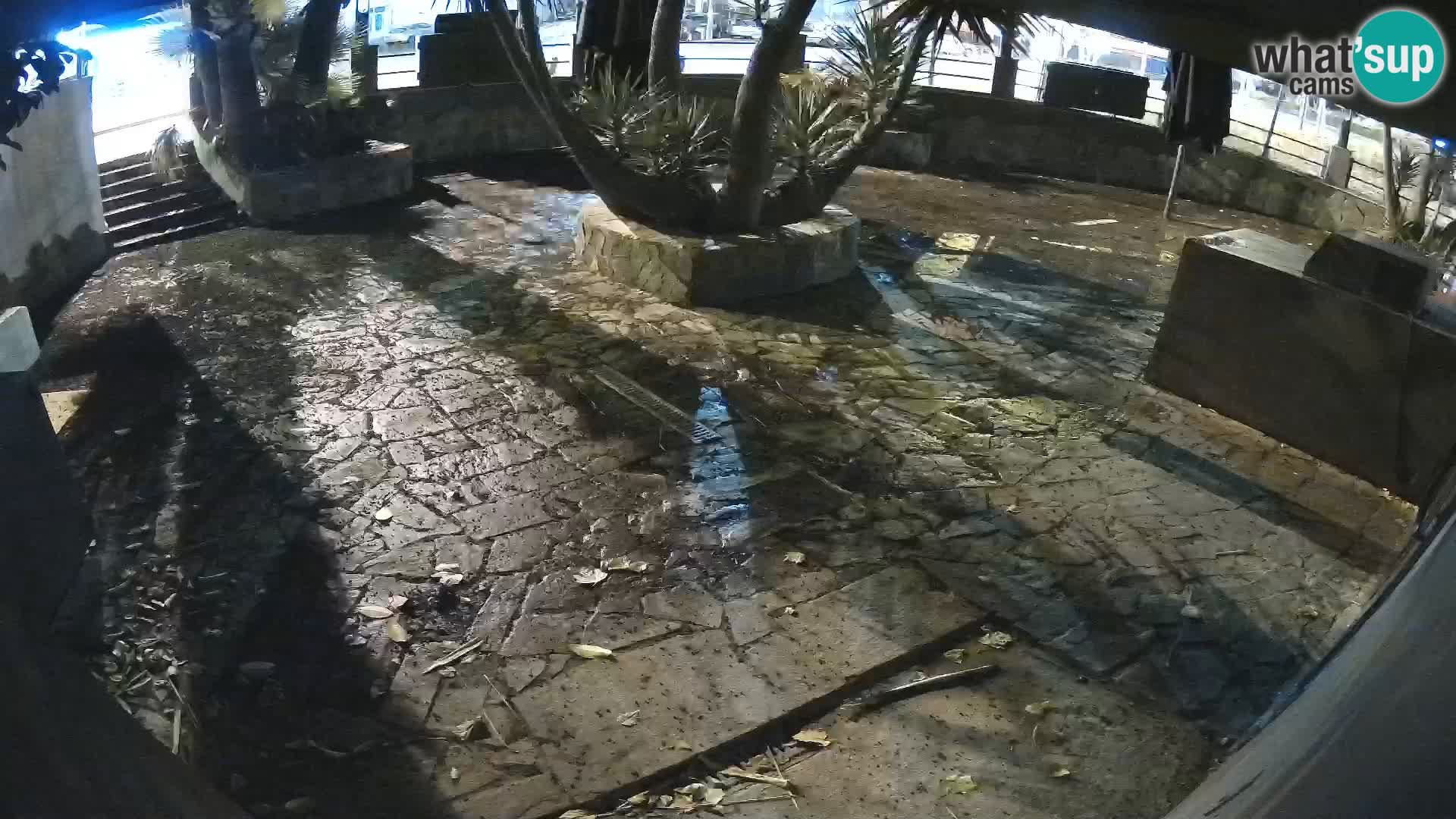 Lloret de Mar – Dr. Döner