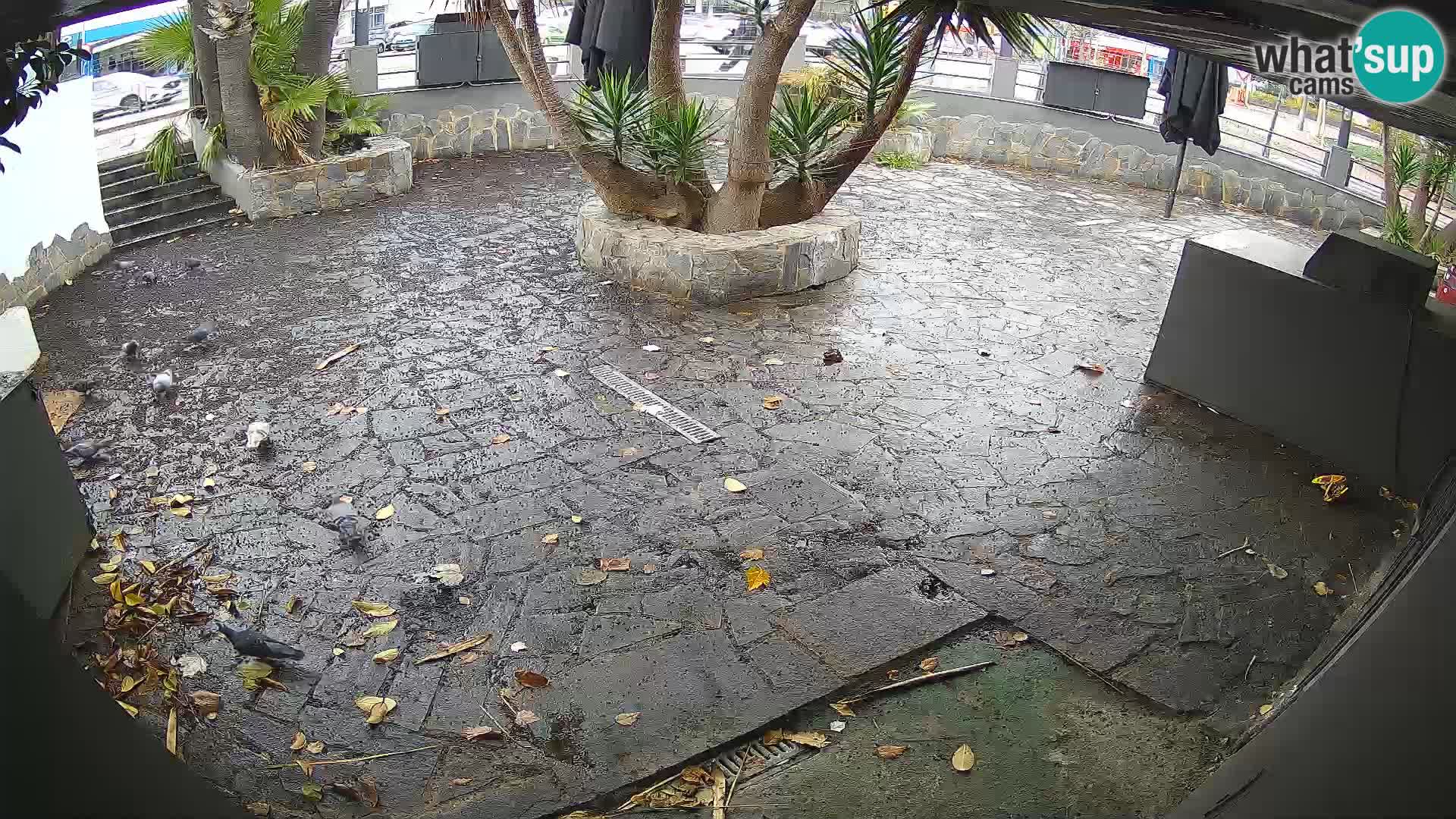 Lloret de Mar – Dr. Döner