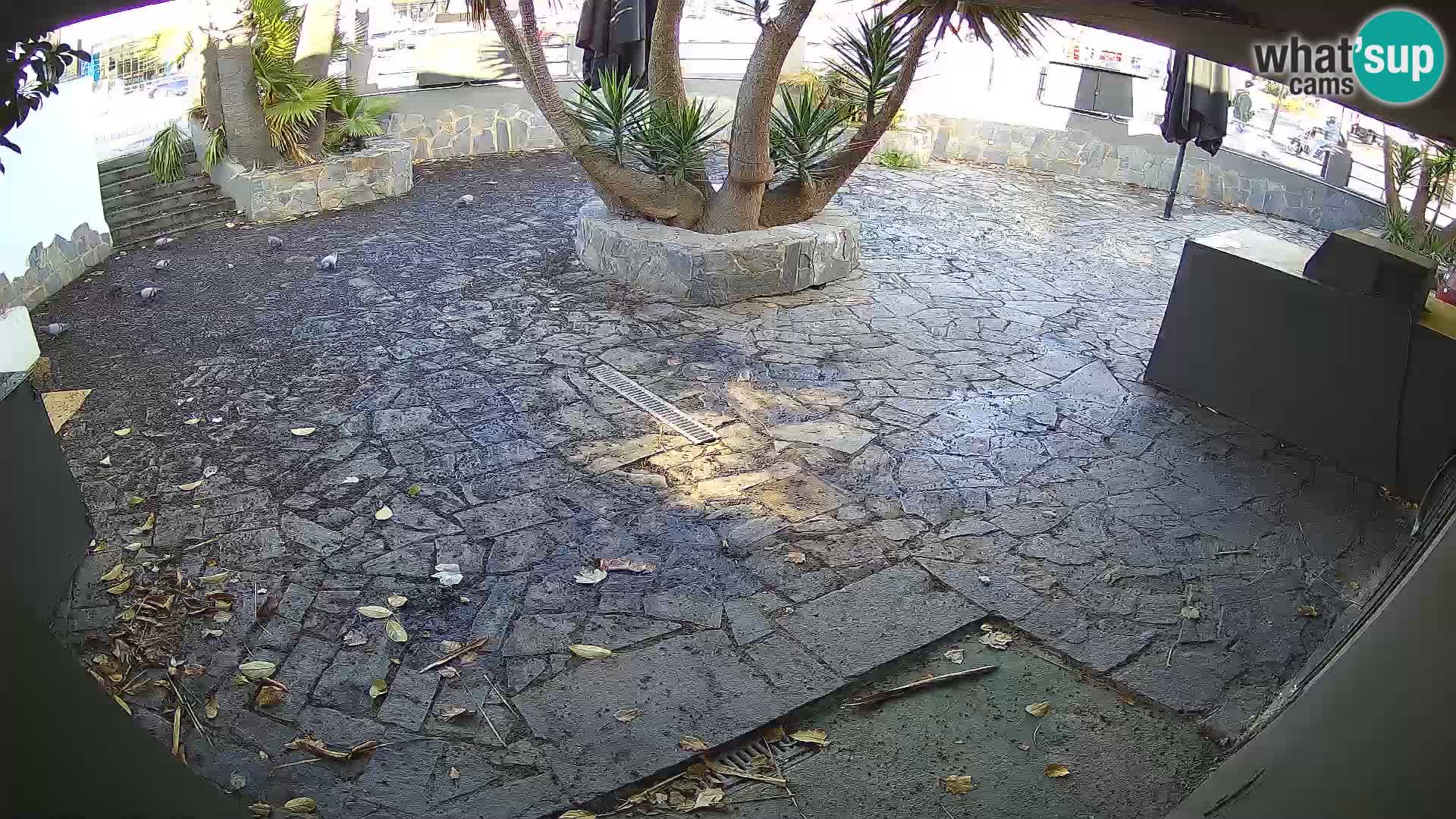 Lloret de Mar – Dr. Döner