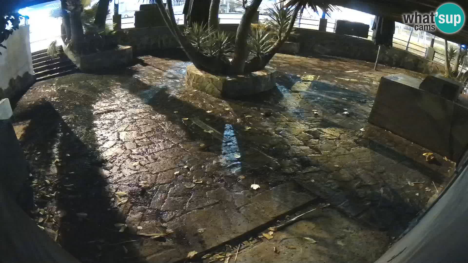 Lloret de Mar – Dr. Döner