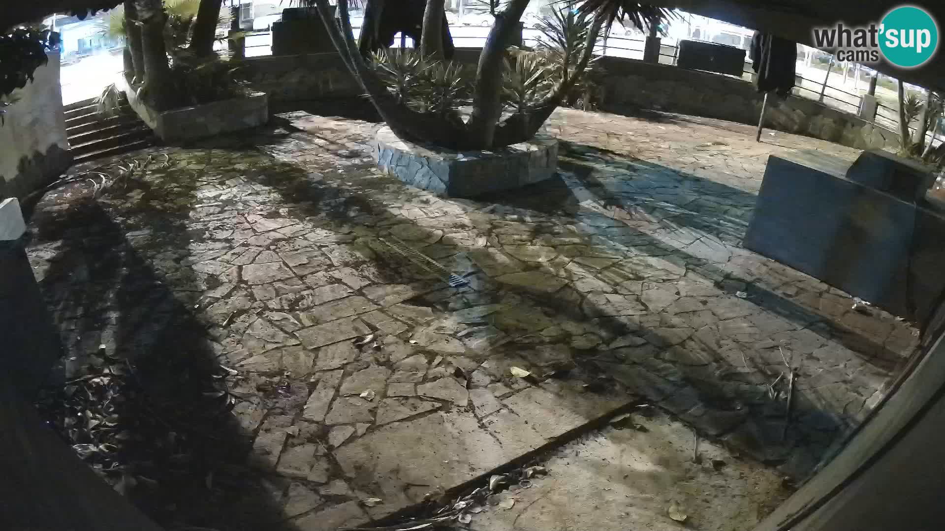 Lloret de Mar – Dr. Döner