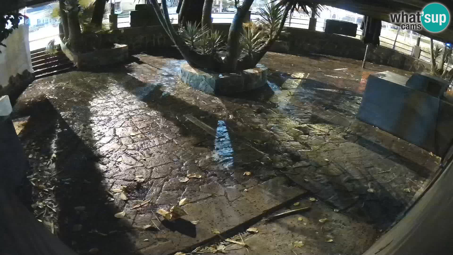 Lloret de Mar – Dr. Döner