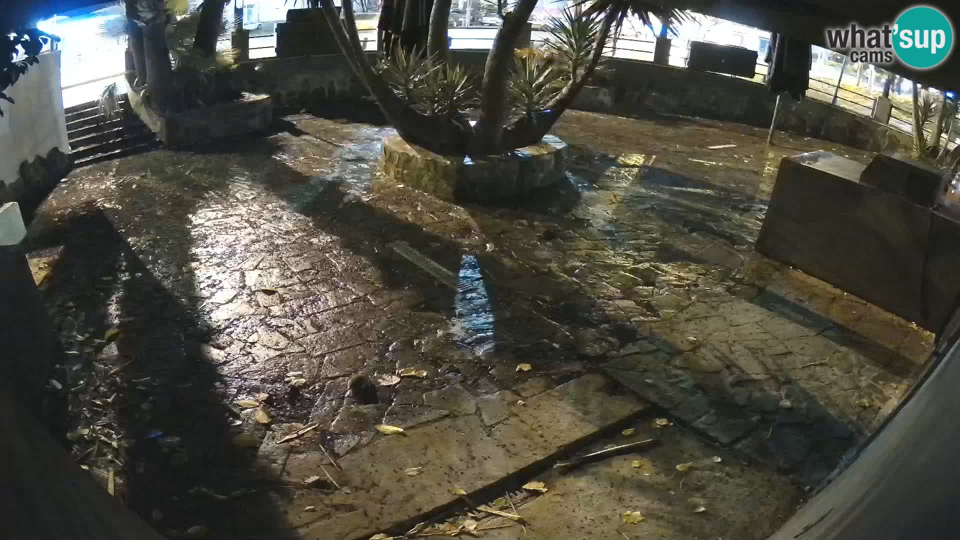 Lloret de Mar – Dr. Döner