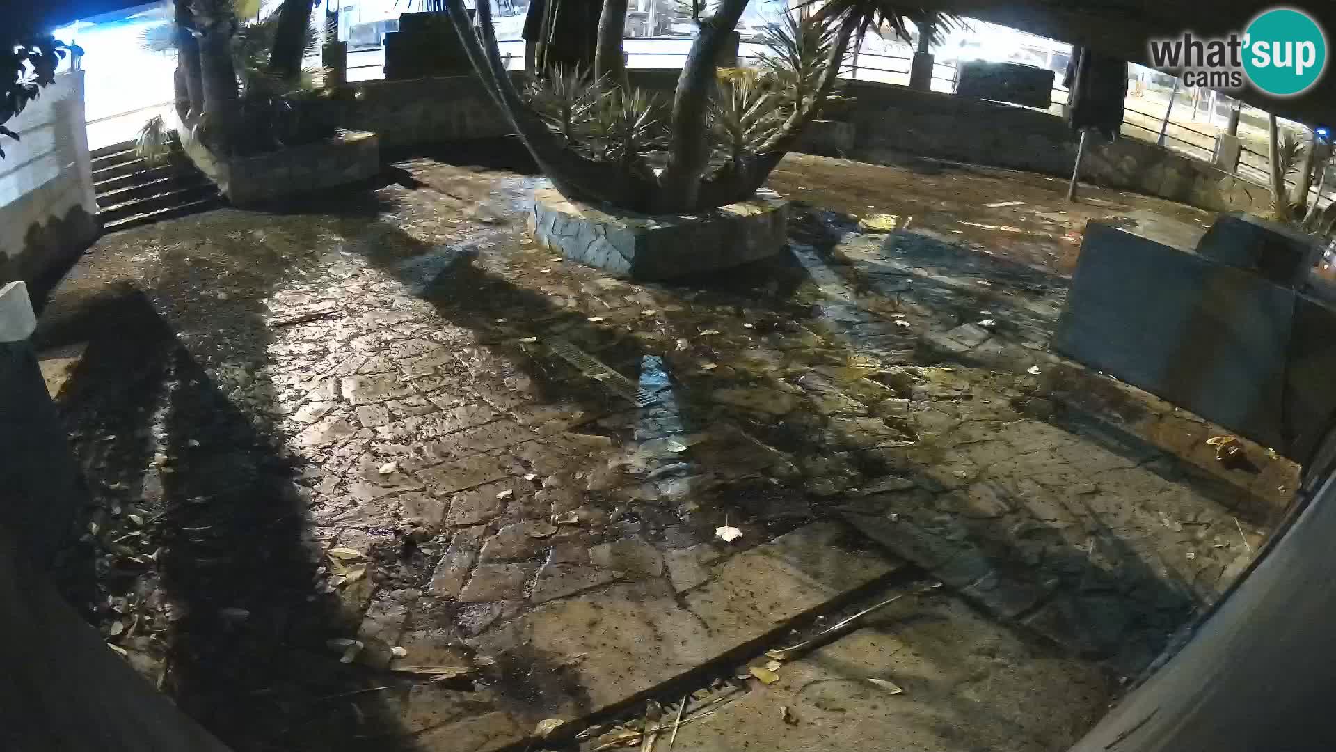 Lloret de Mar – Dr. Döner