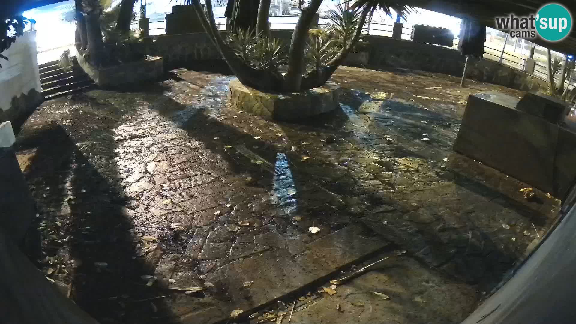 Lloret de Mar – Dr. Döner