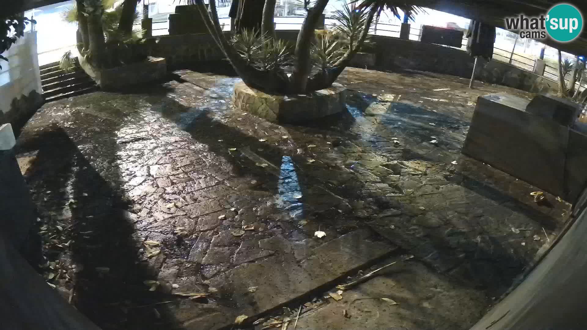 Lloret de Mar – Dr. Döner