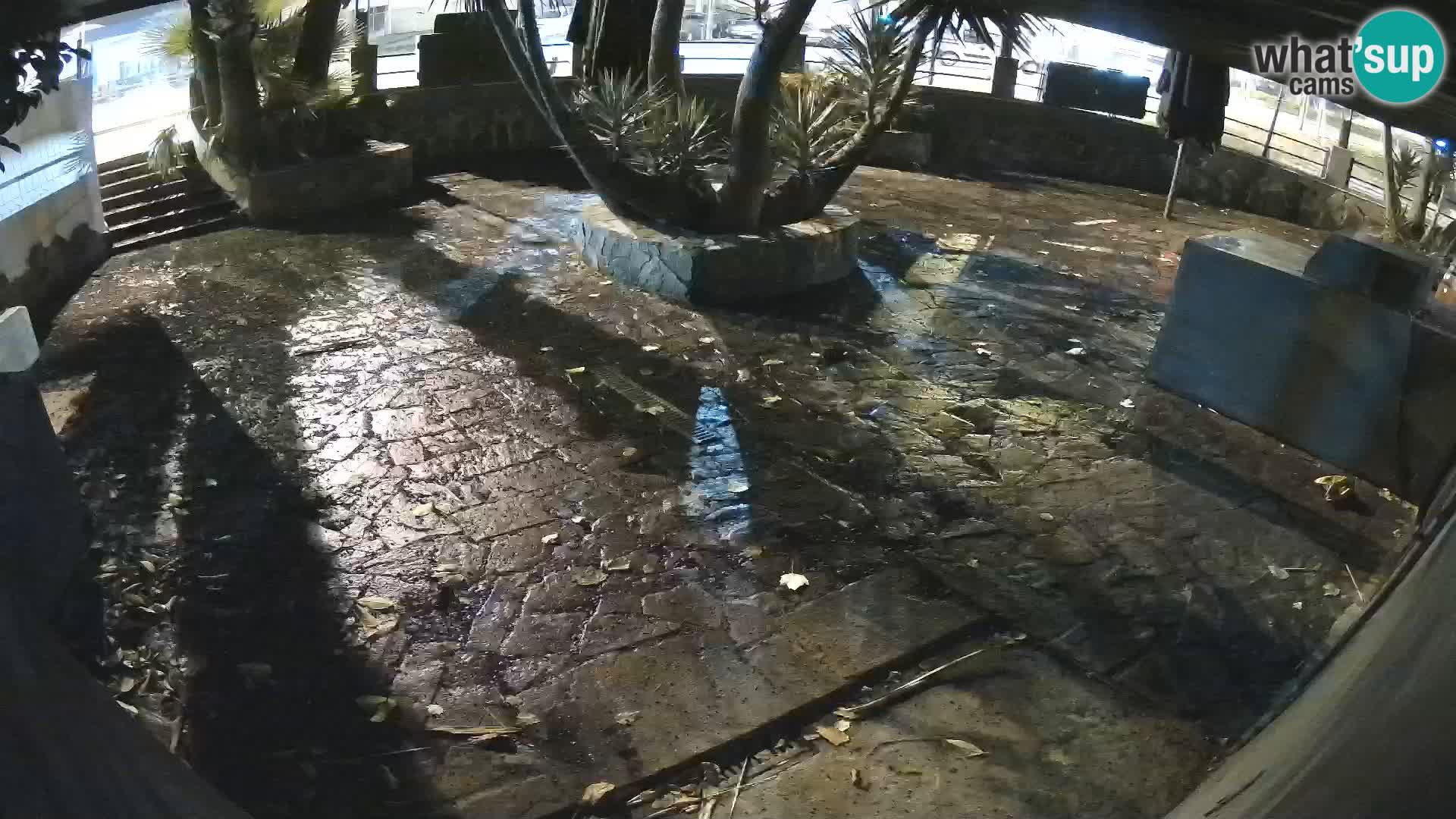 Lloret de Mar – Dr. Döner