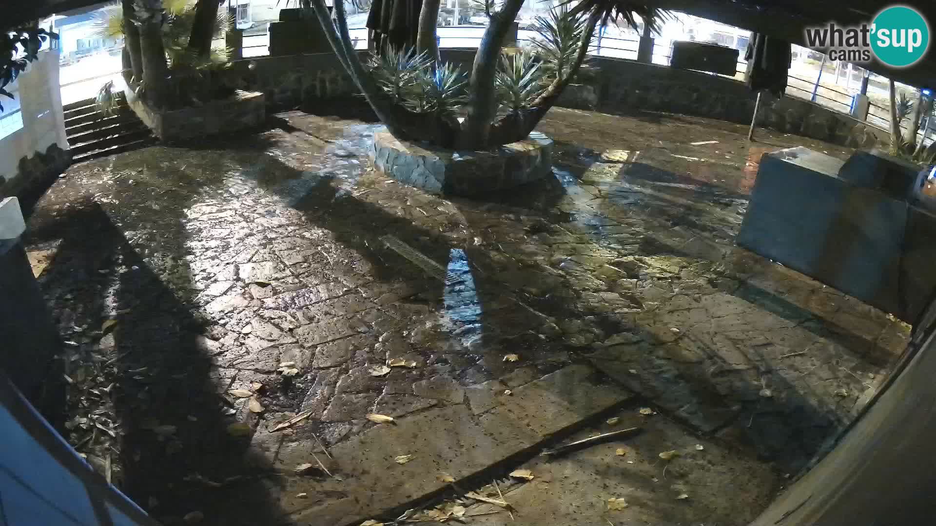 Lloret de Mar – Dr. Döner