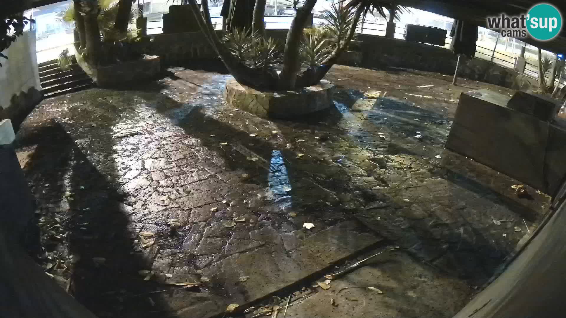 Lloret de Mar – Dr. Döner