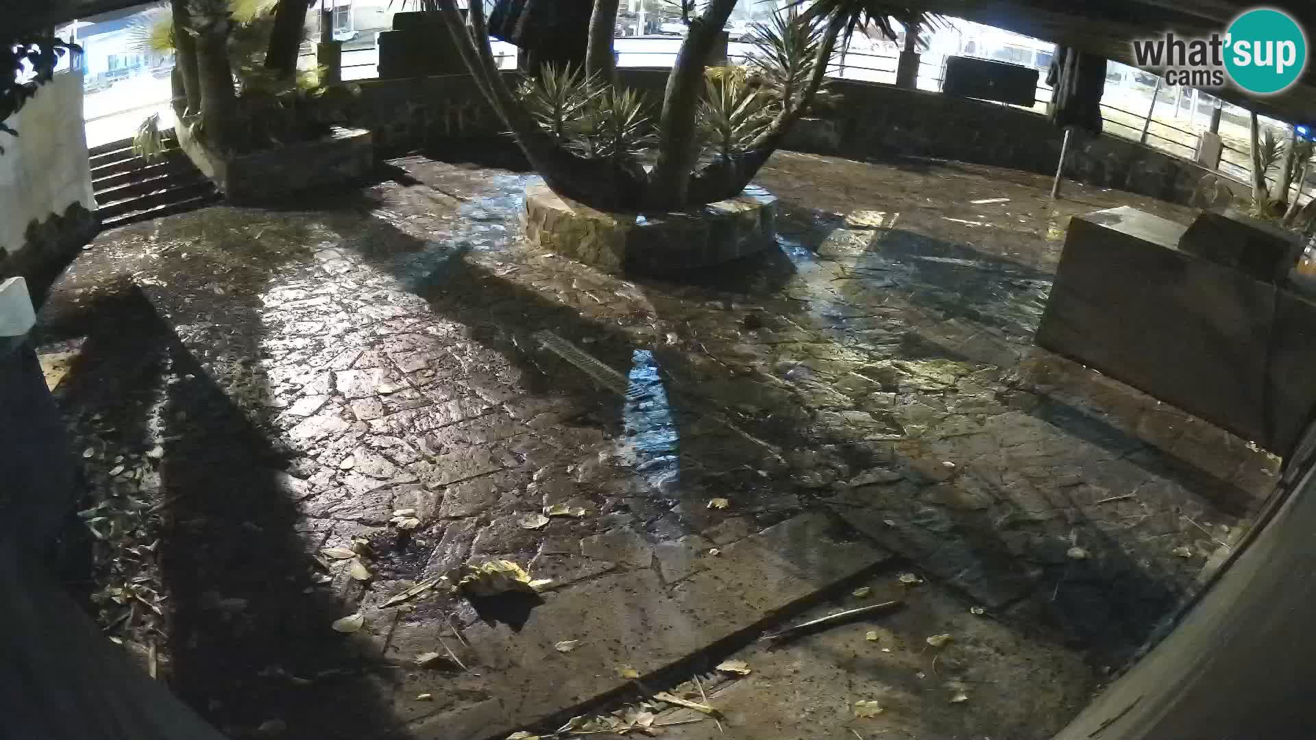 Lloret de Mar – Dr. Döner