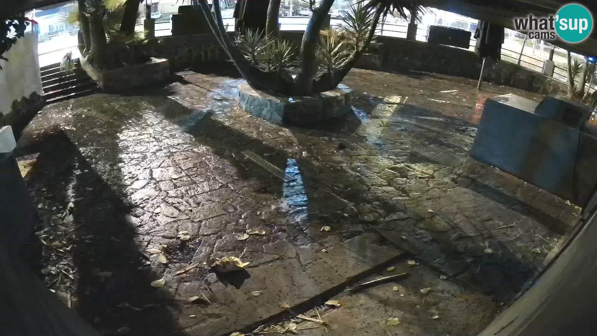 Lloret de Mar – Dr. Döner