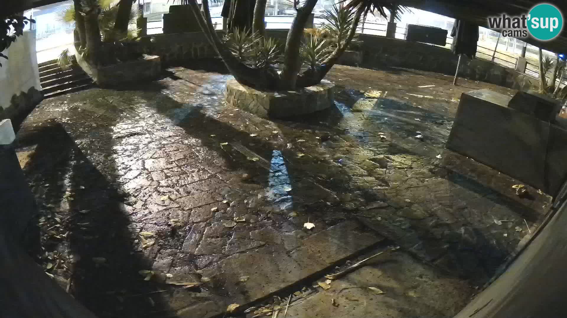 Lloret de Mar – Dr. Döner