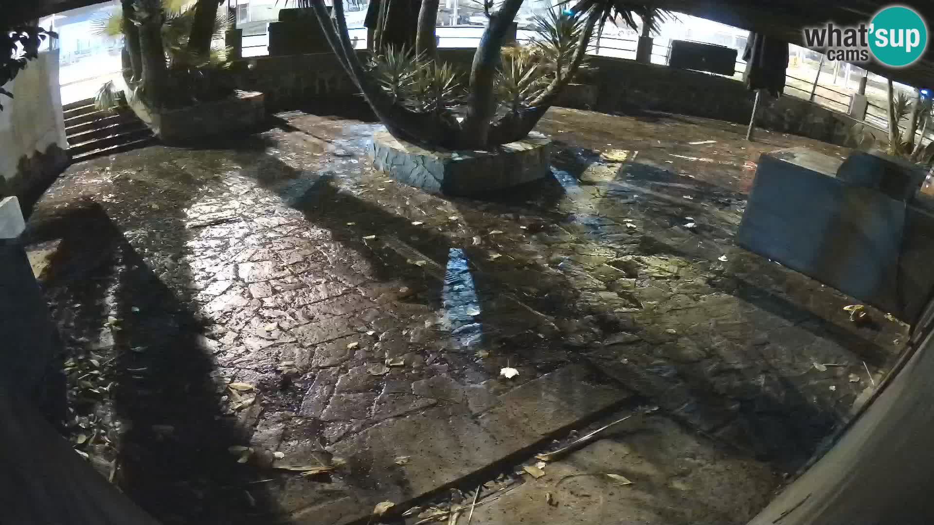 Lloret de Mar – Dr. Döner