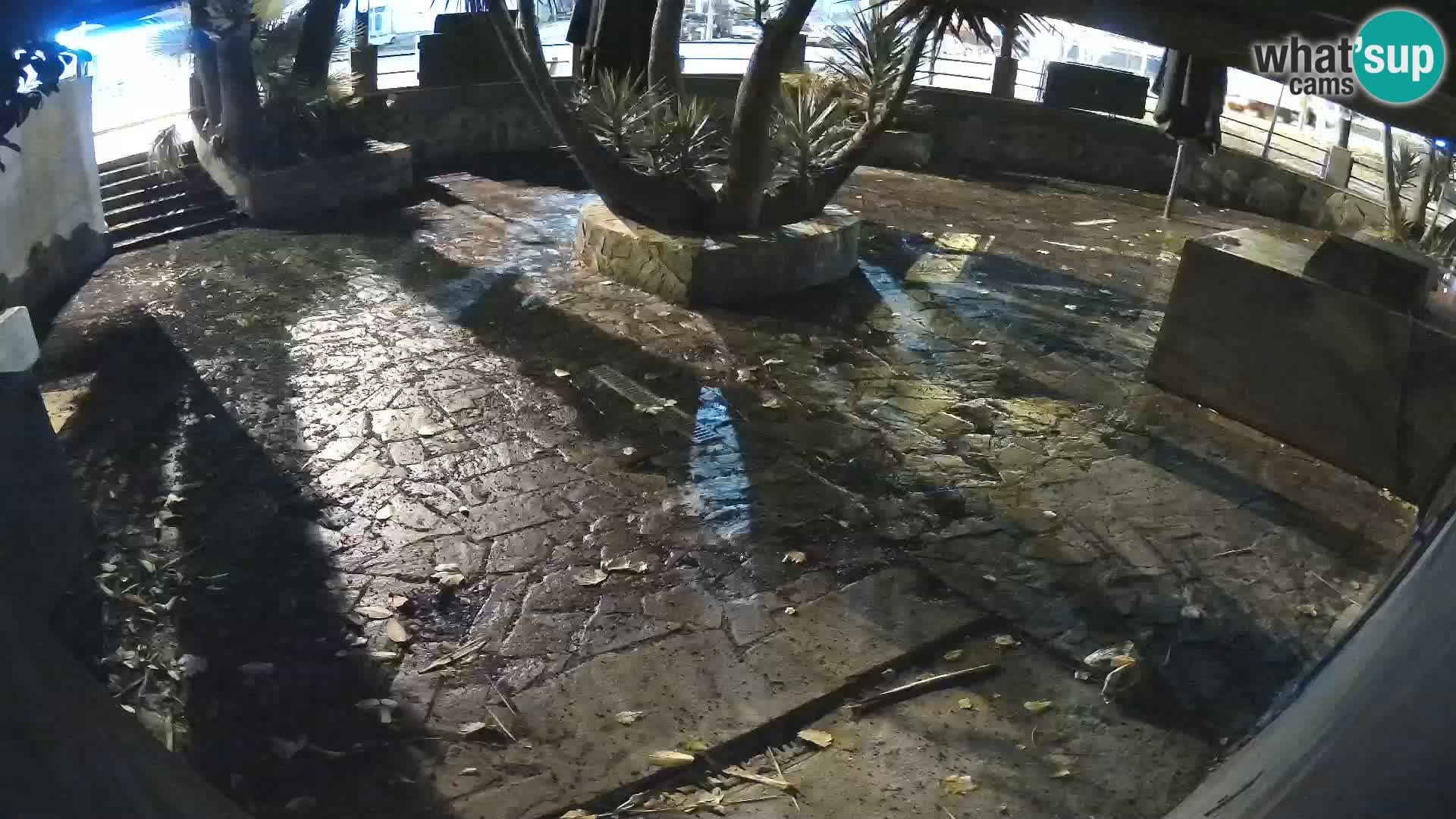 Lloret de Mar – Dr. Döner