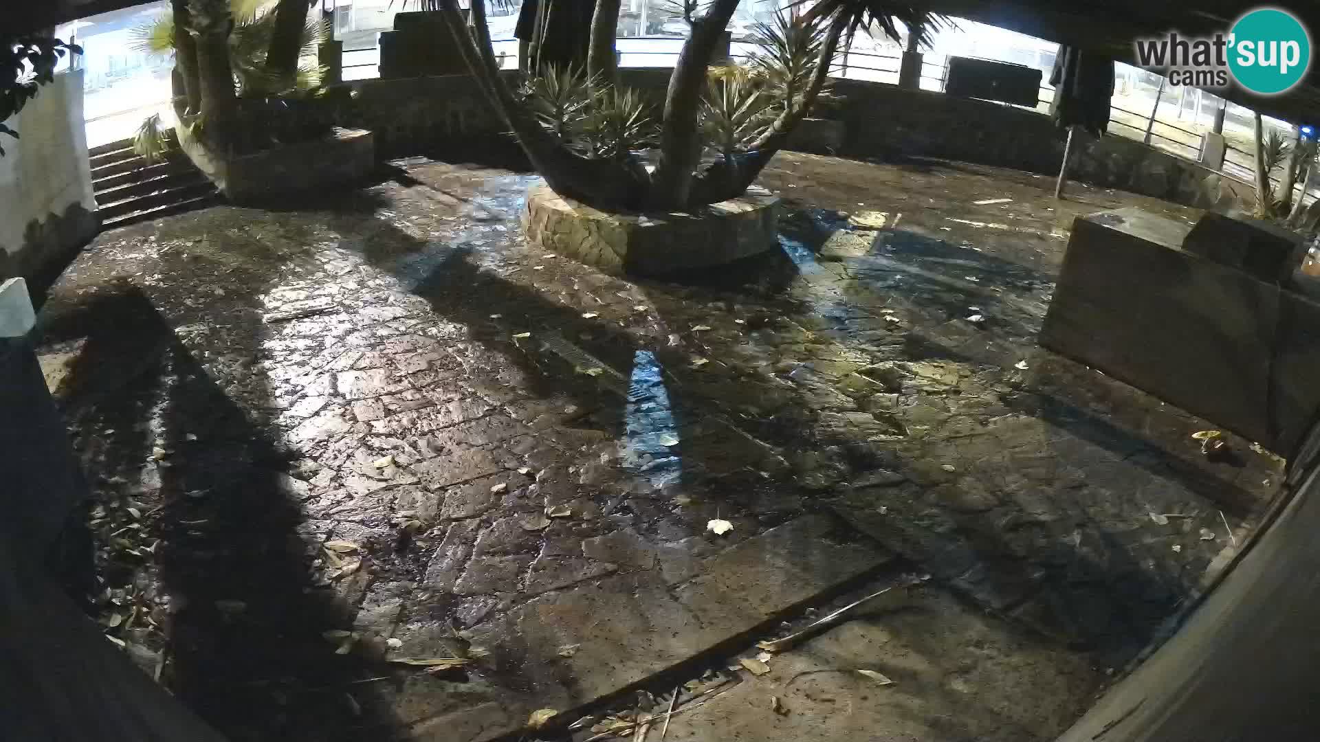 Lloret de Mar – Dr. Döner