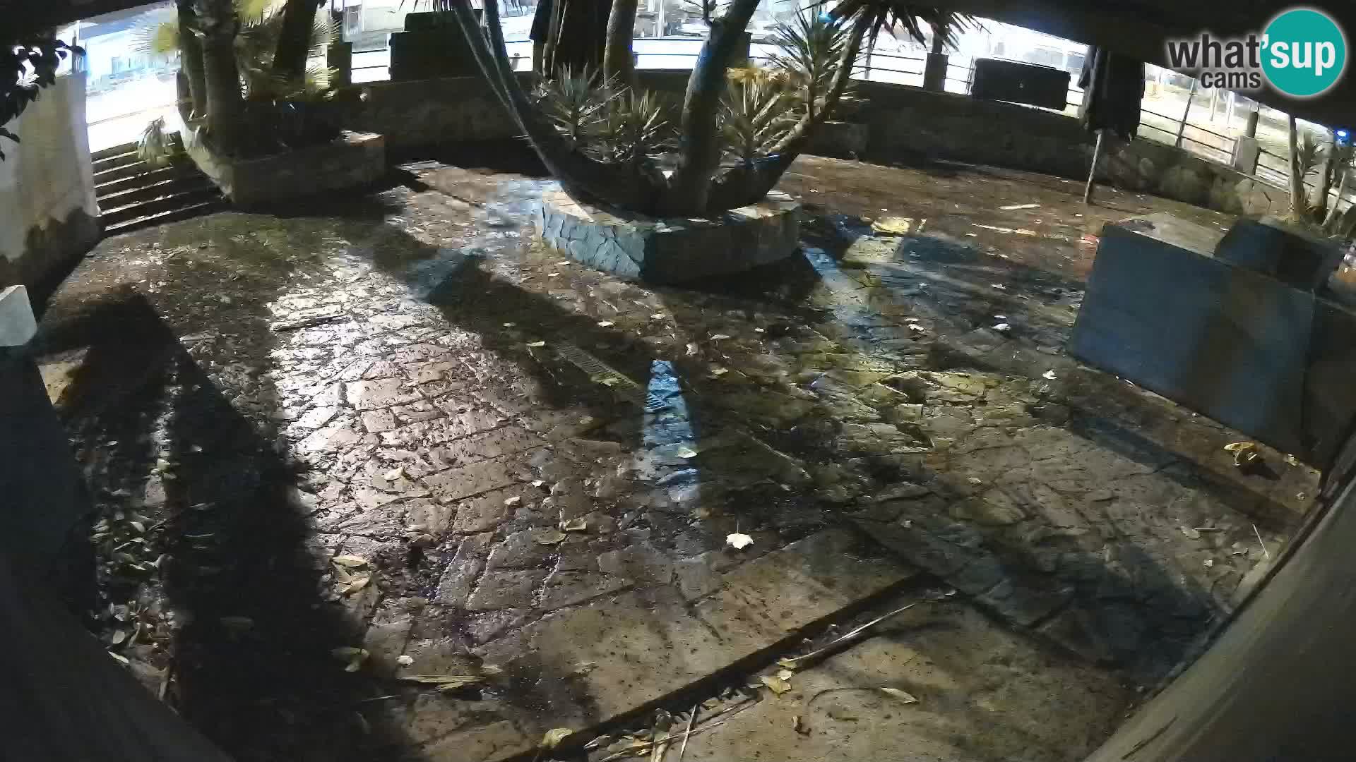 Lloret de Mar – Dr. Döner