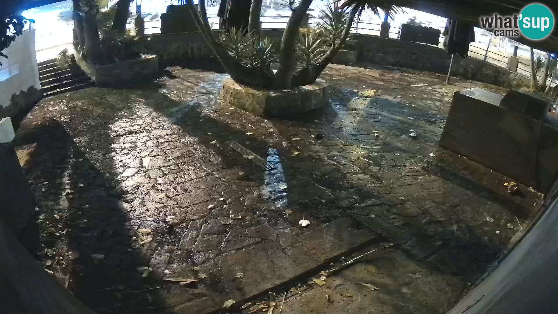 Lloret de Mar – Dr. Döner