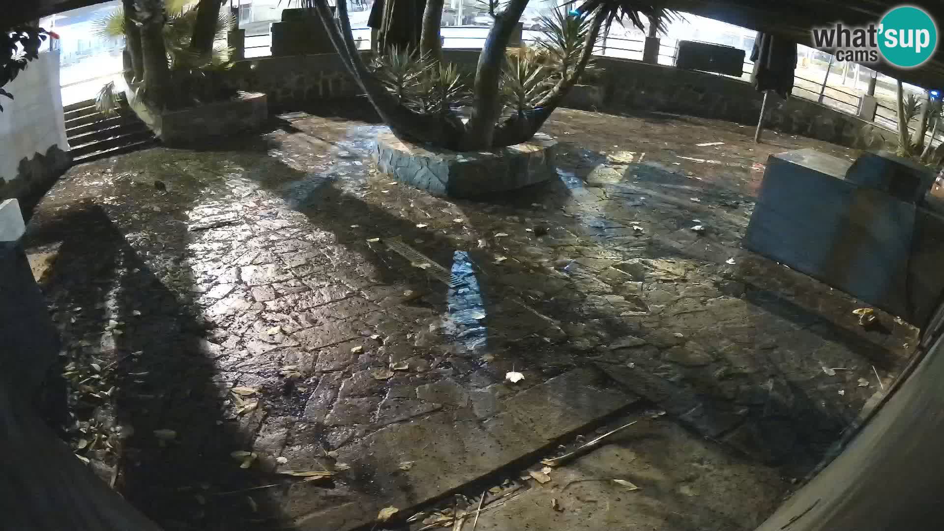 Lloret de Mar – Dr. Döner