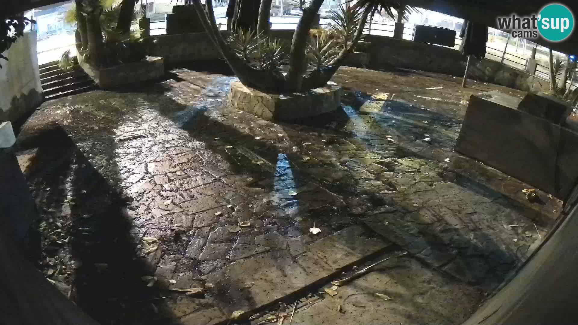 Lloret de Mar – Dr. Döner