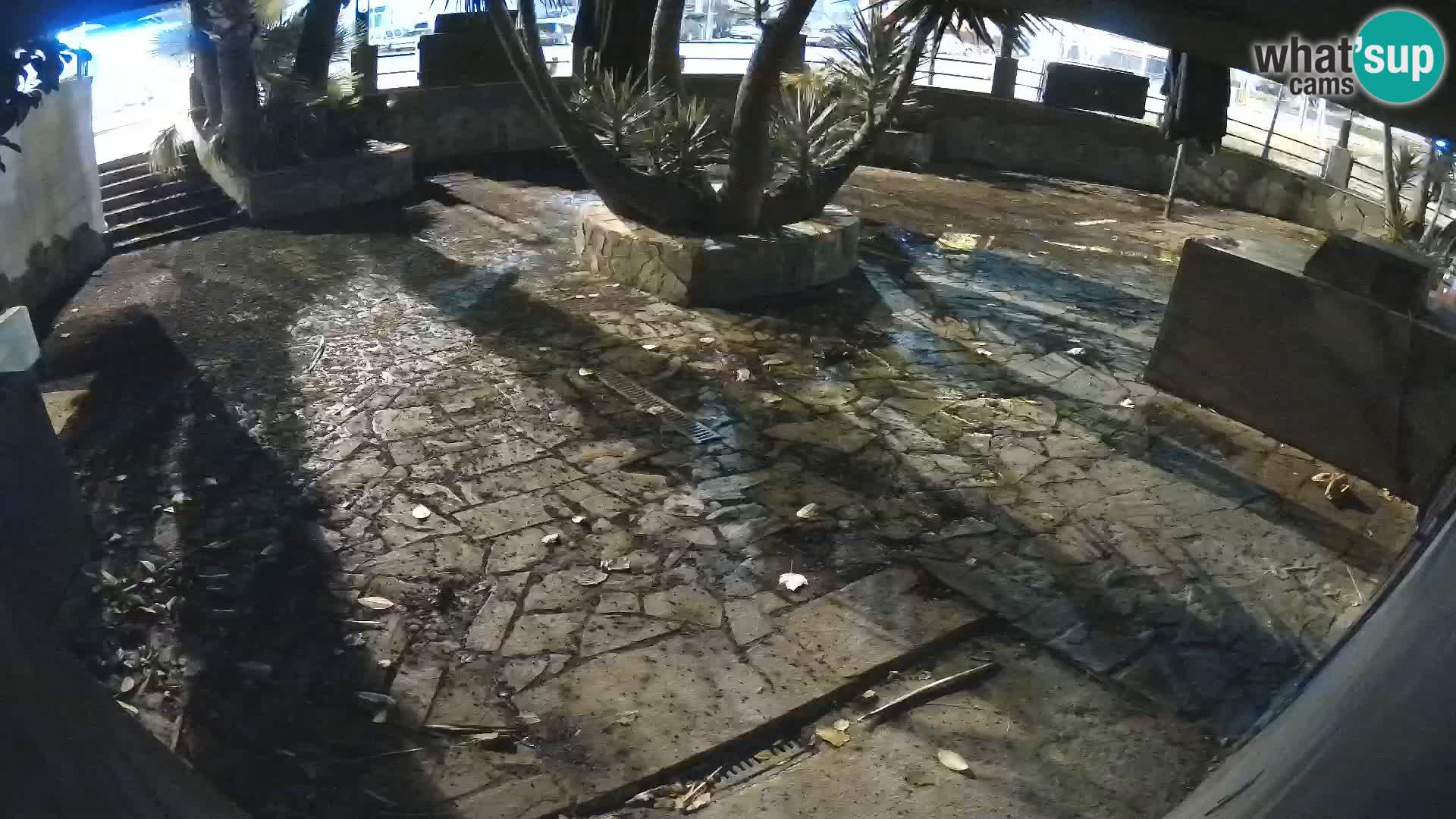 Lloret de Mar – Dr. Döner