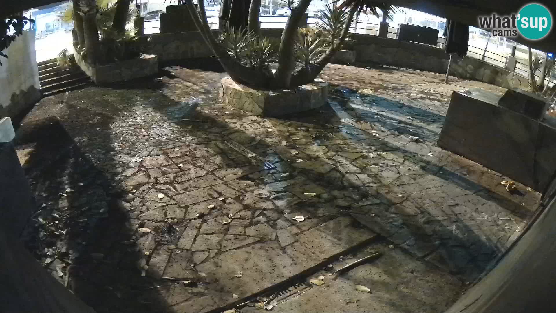 Lloret de Mar – Dr. Döner