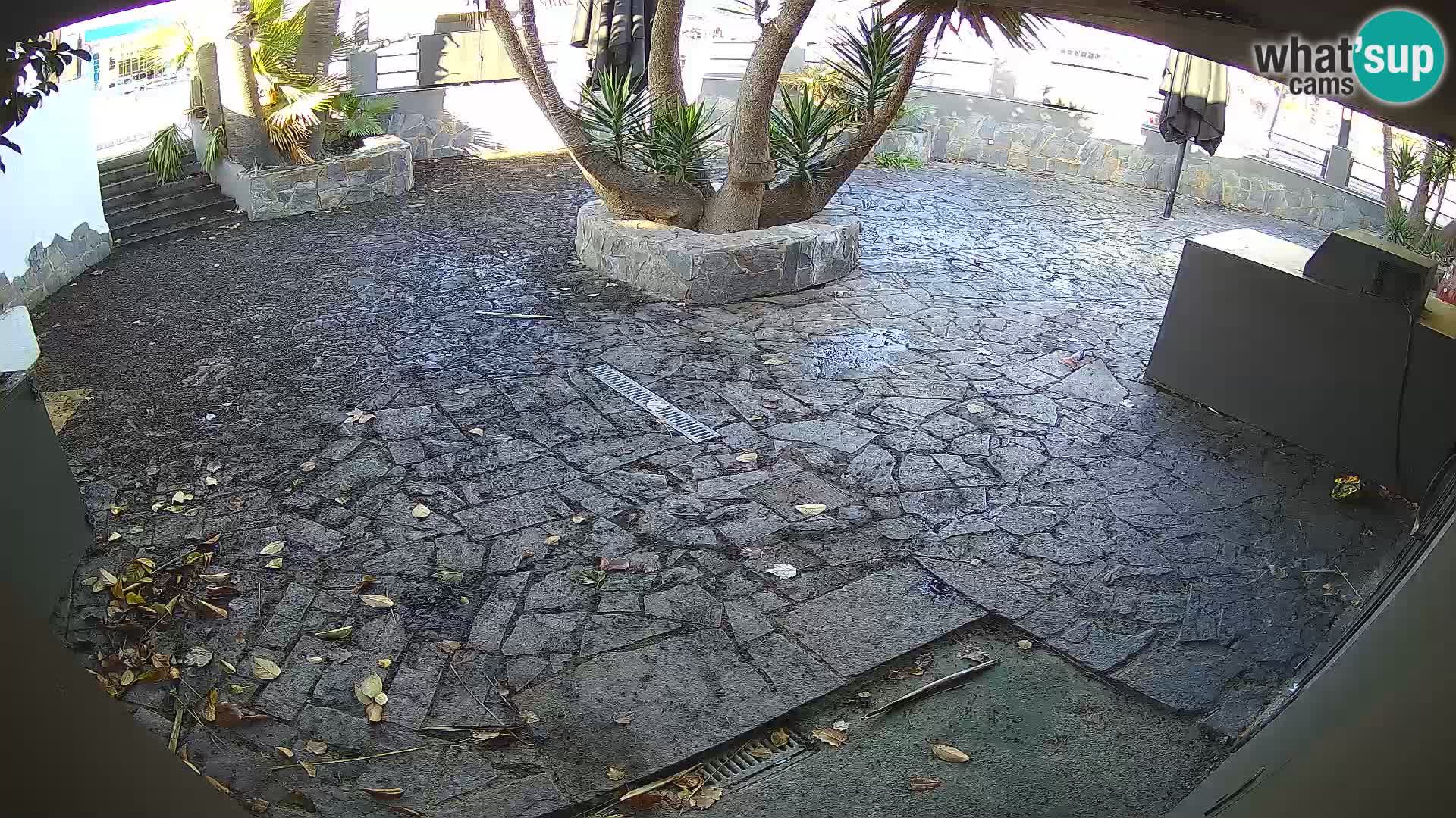 Lloret de Mar – Dr. Döner