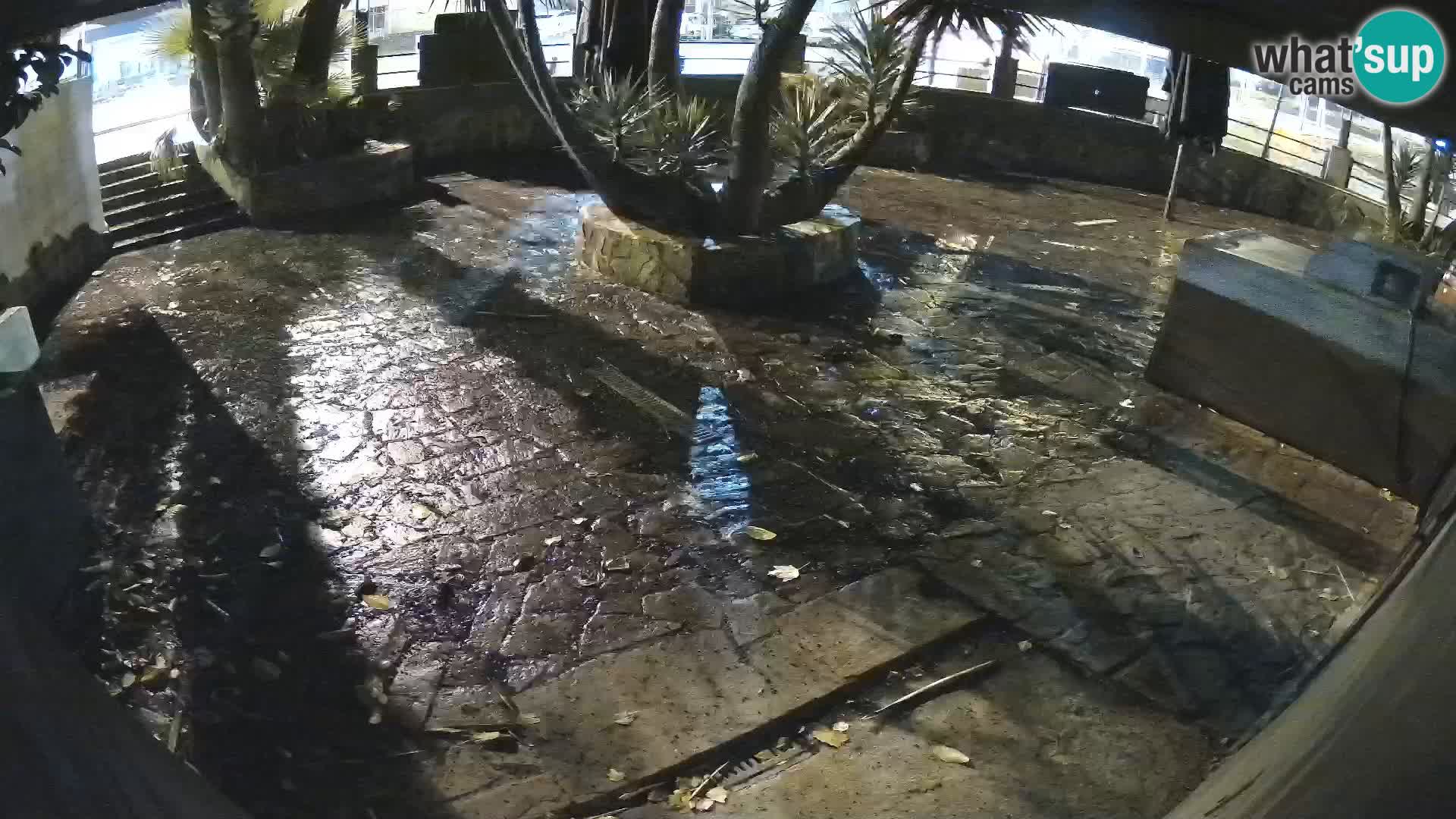 Lloret de Mar – Dr. Döner