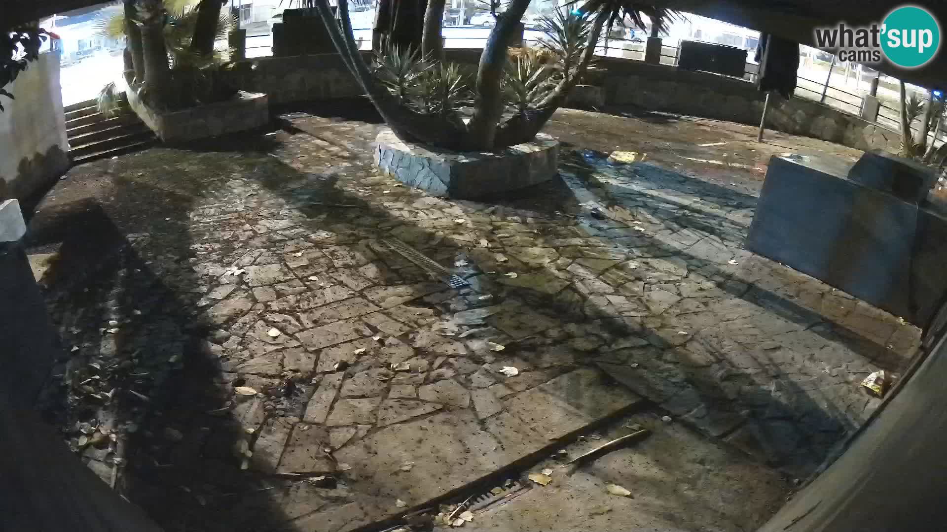 Lloret de Mar – Dr. Döner