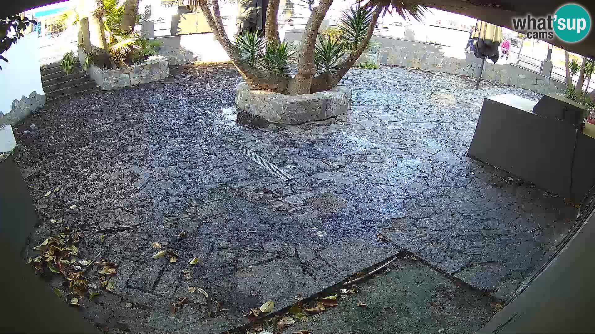 Lloret de Mar – Dr. Döner