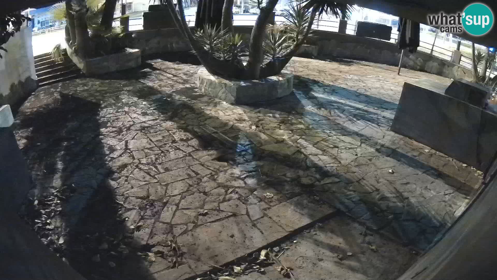 Lloret de Mar – Dr. Döner