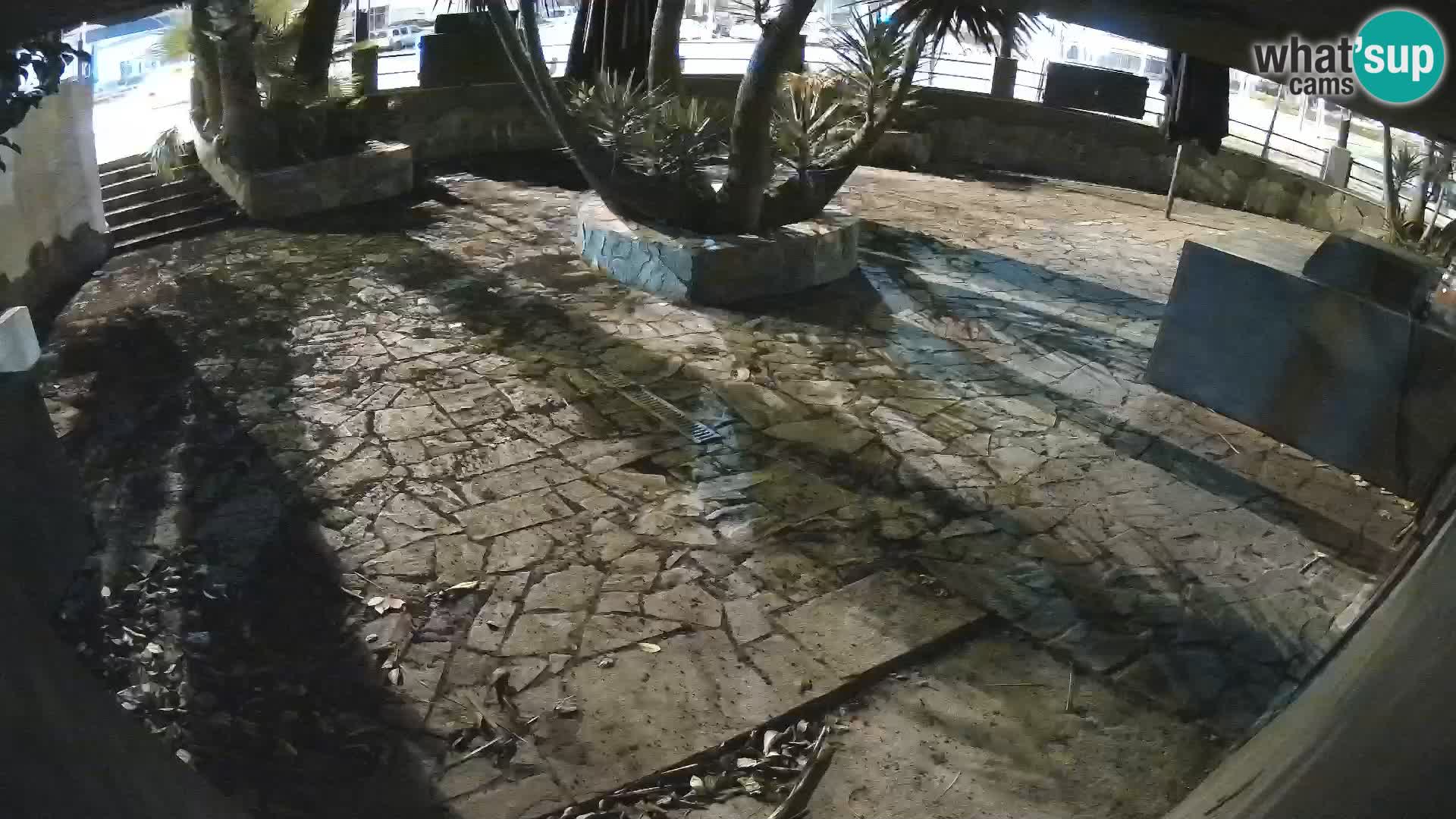 Lloret de Mar – Dr. Döner