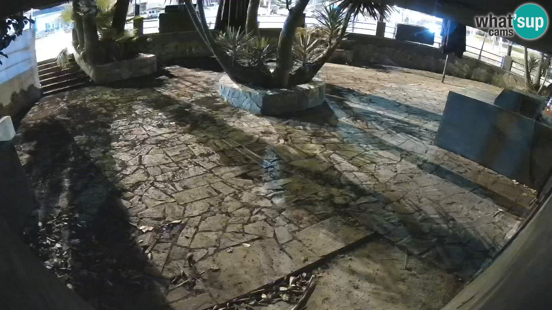 Lloret de Mar – Dr. Döner