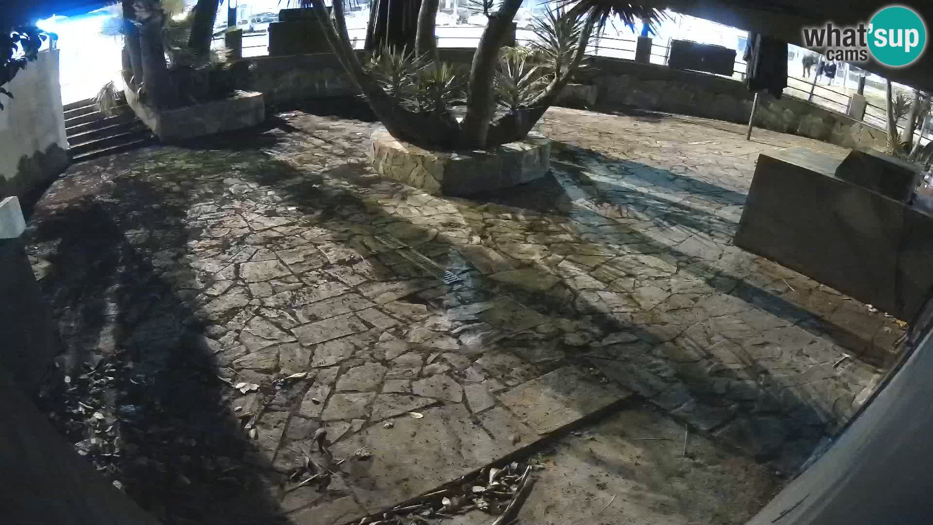 Lloret de Mar – Dr. Döner