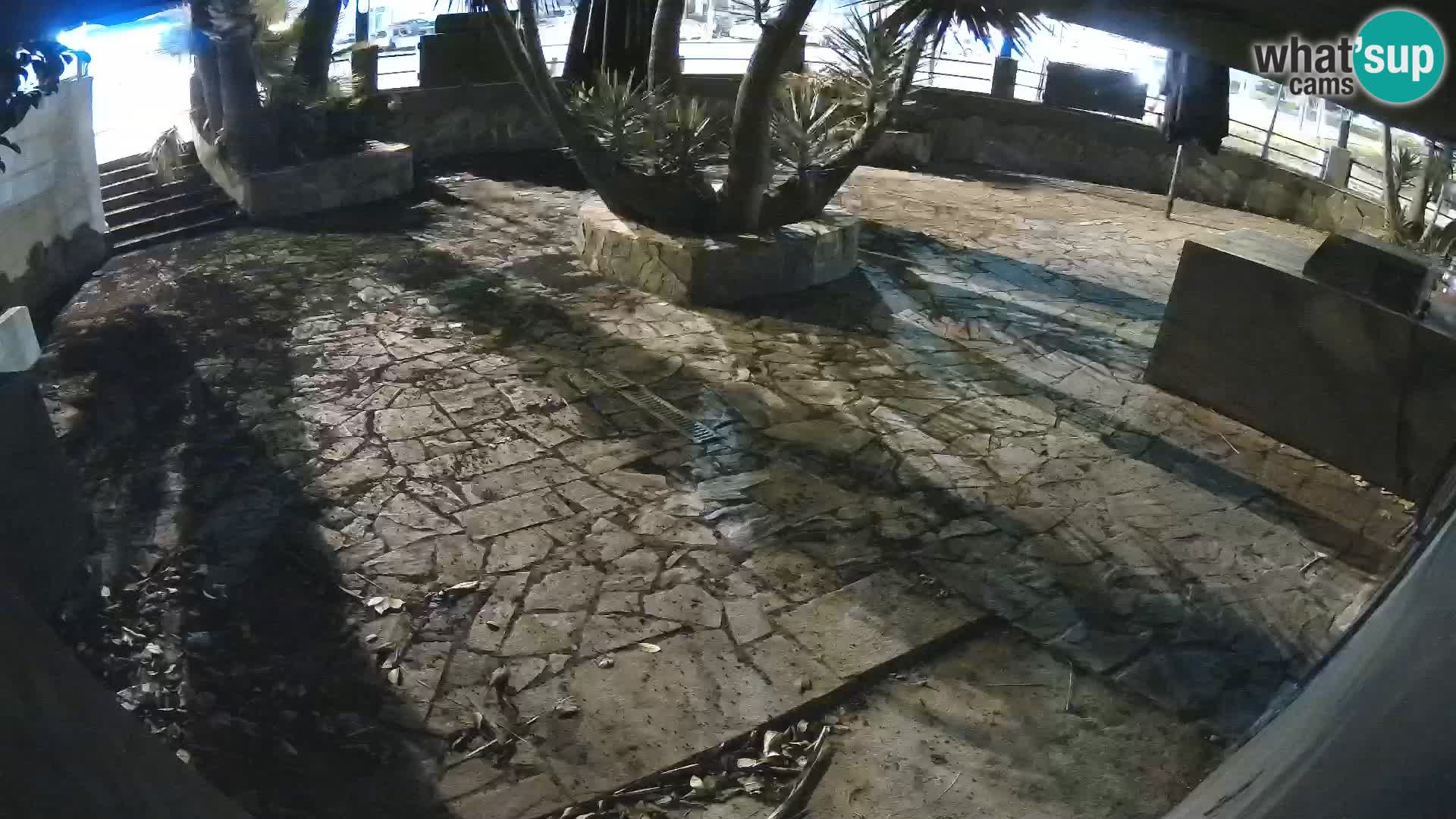 Lloret de Mar – Dr. Döner