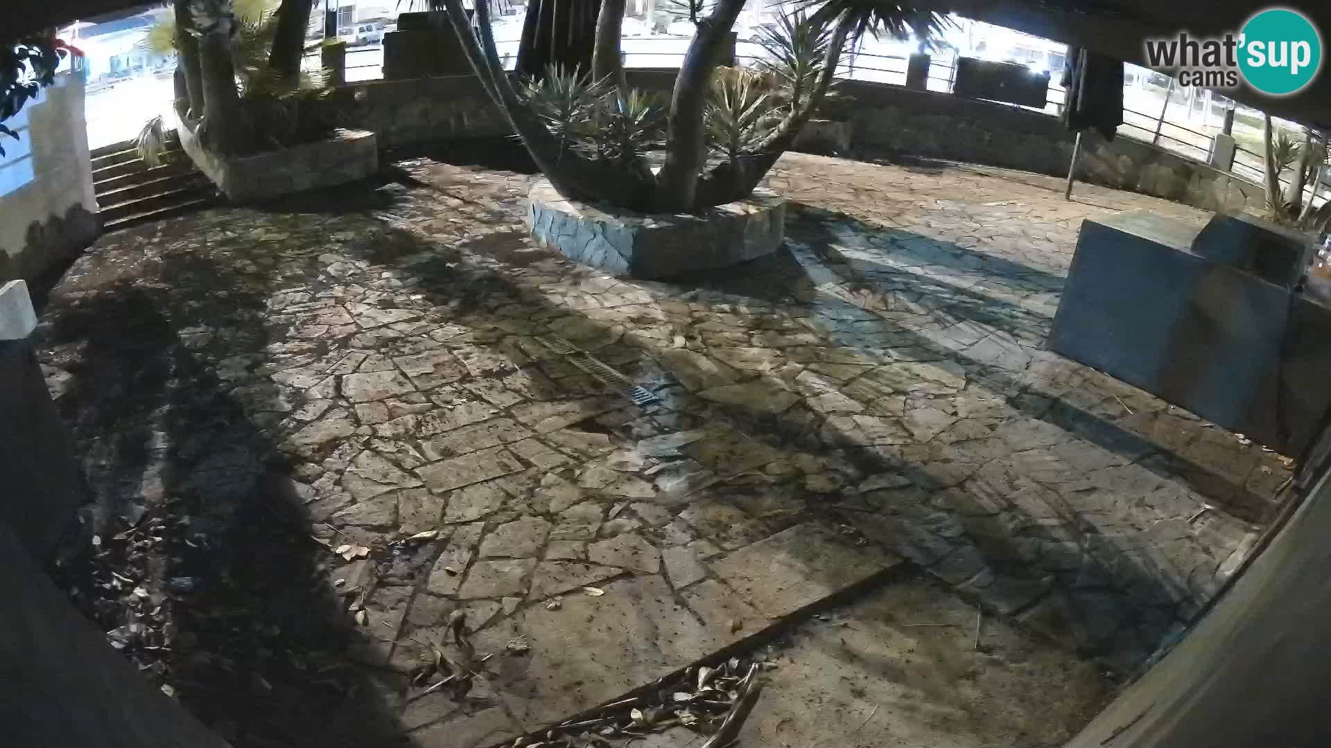 Lloret de Mar – Dr. Döner