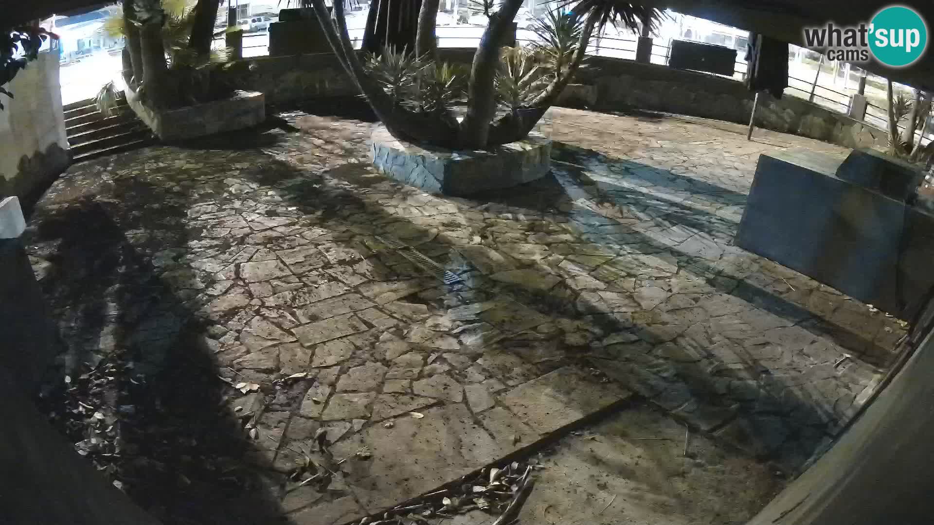 Lloret de Mar – Dr. Döner