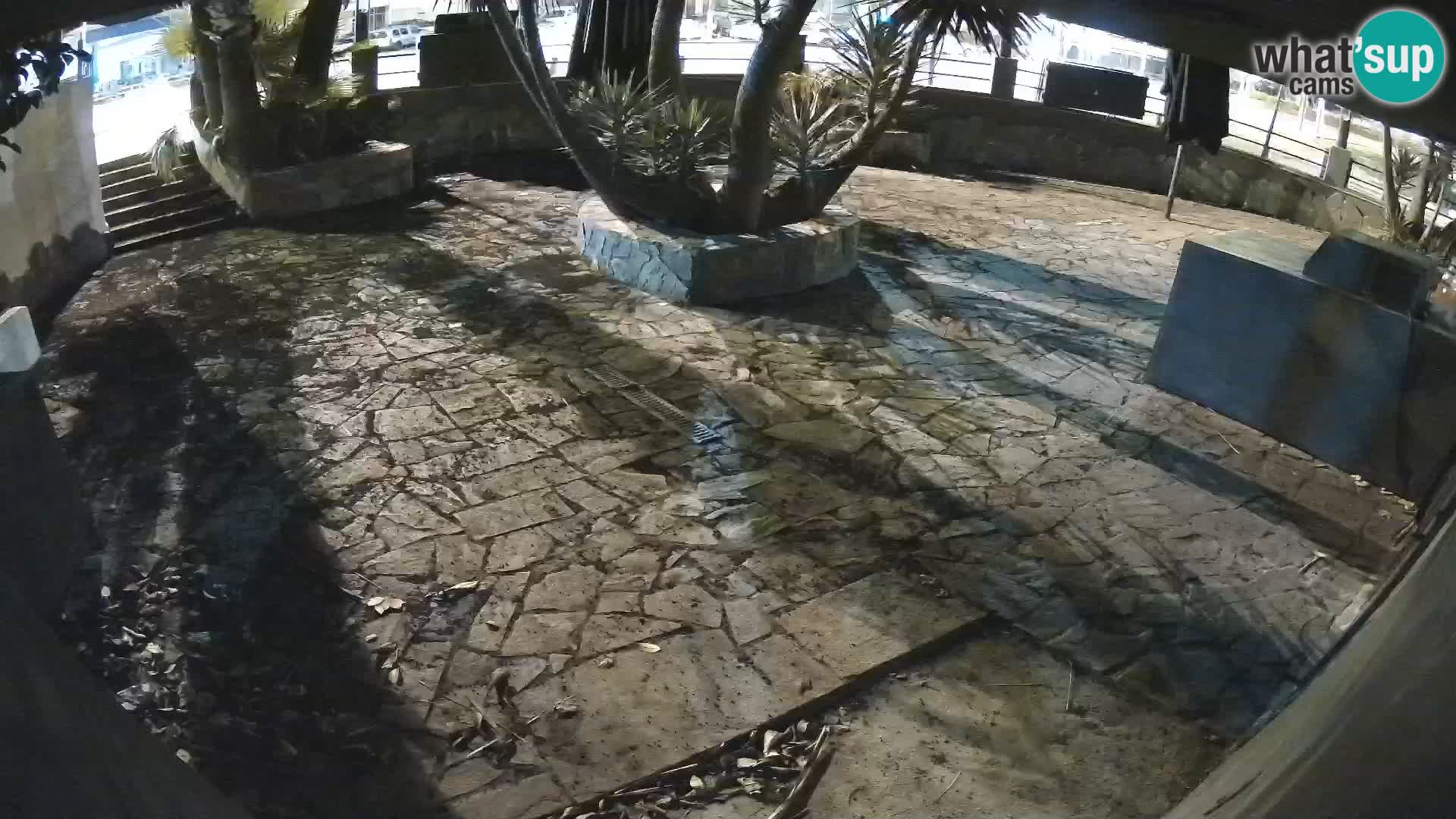 Lloret de Mar – Dr. Döner