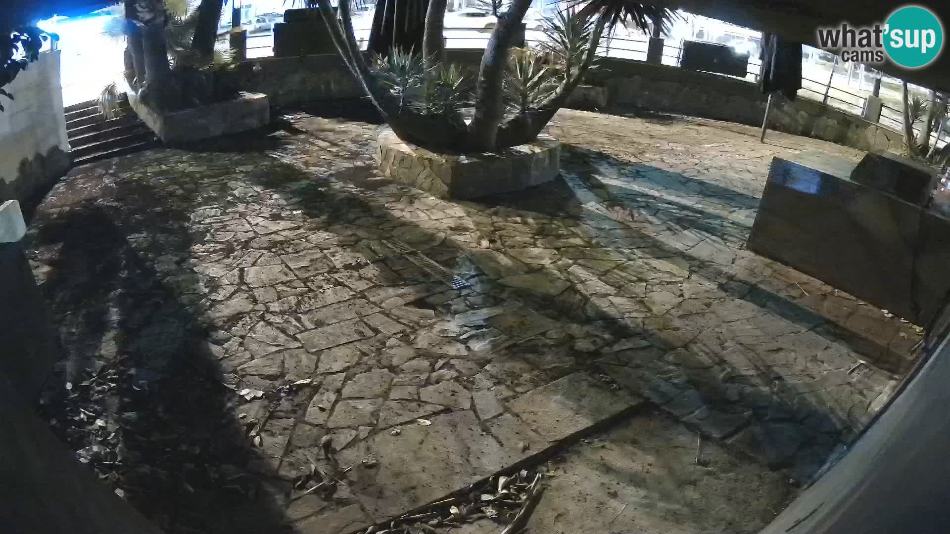 Lloret de Mar – Dr. Döner