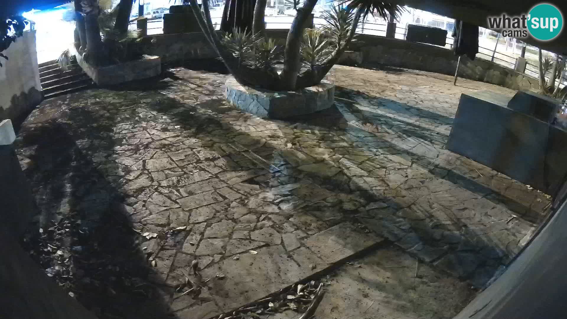 Lloret de Mar – Dr. Döner