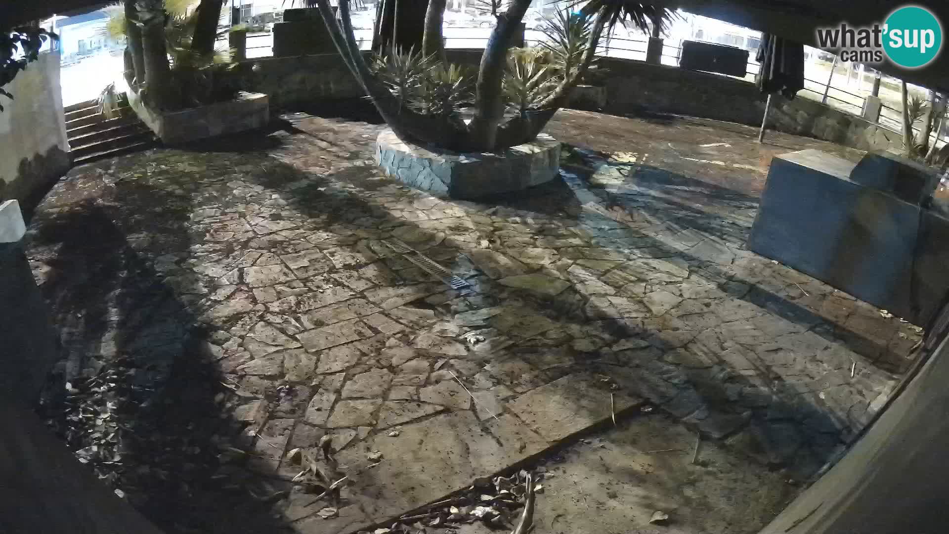 Lloret de Mar – Dr. Döner