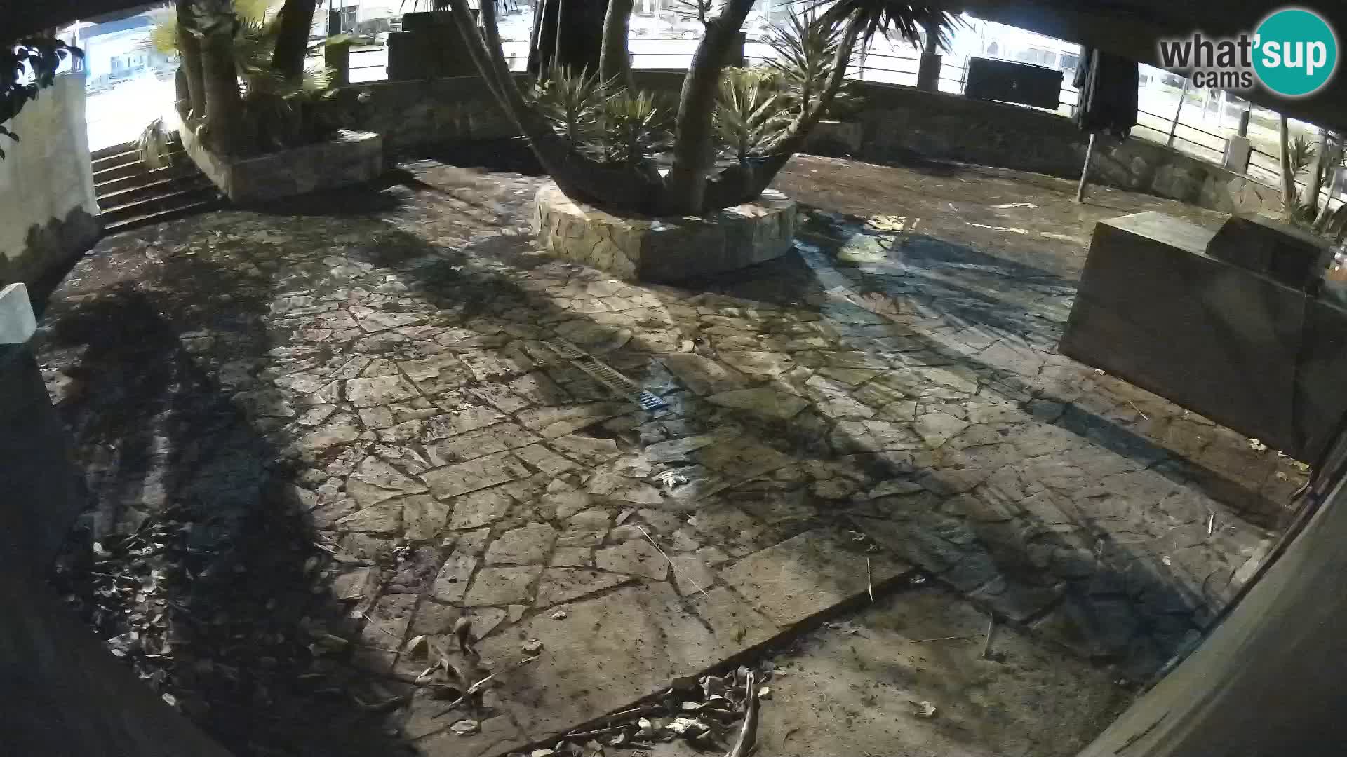 Lloret de Mar – Dr. Döner