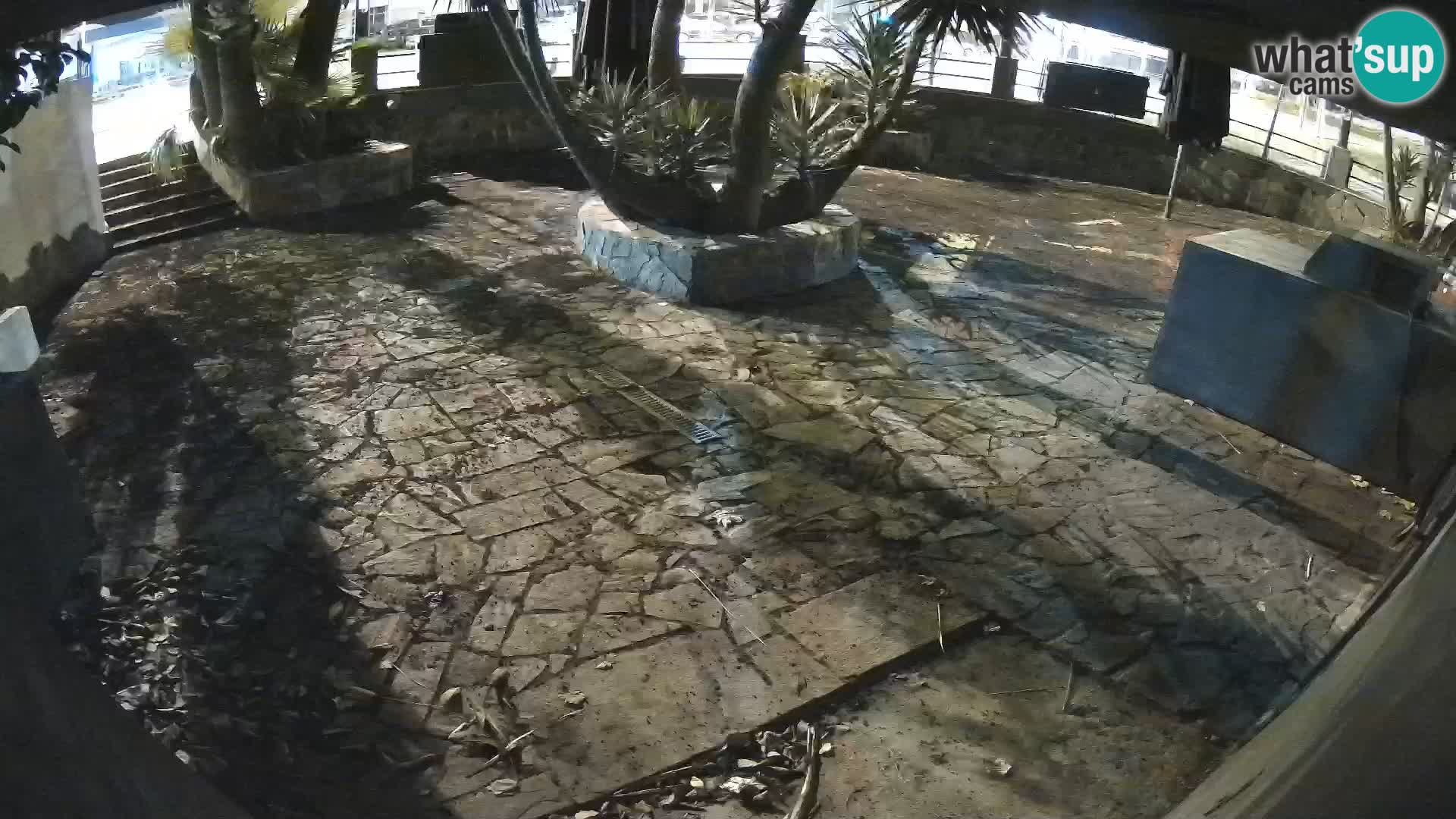 Lloret de Mar – Dr. Döner