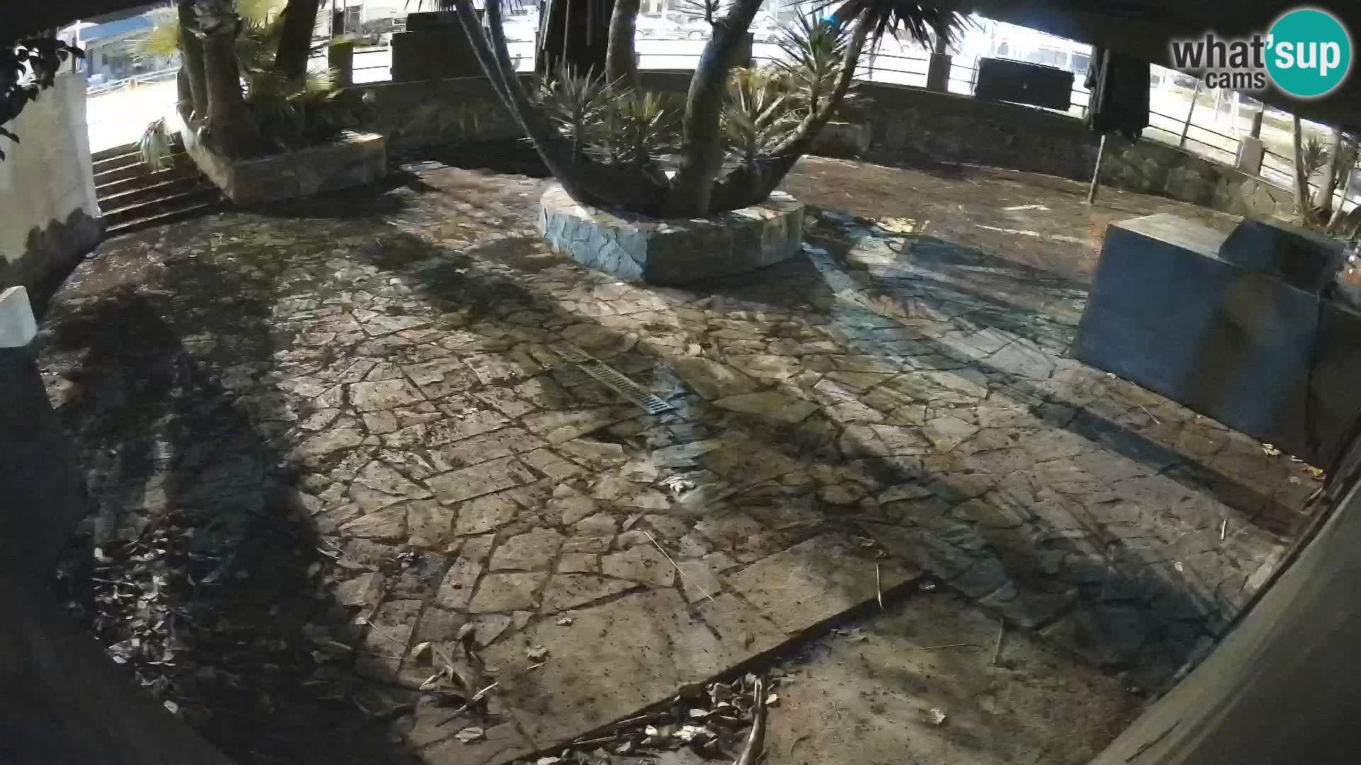 Lloret de Mar – Dr. Döner